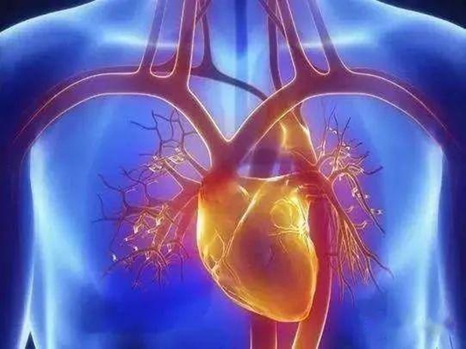 BETAINA NEL TRATTAMENTO DELLE MALATTIE VASCOLARI