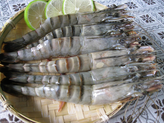 Benefici della betaina nel mangime per gamberetti (sano)