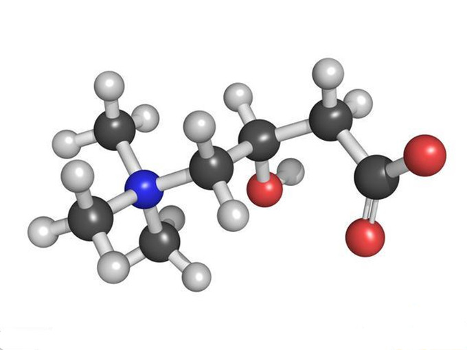 Cos'è la L-carnitina?
